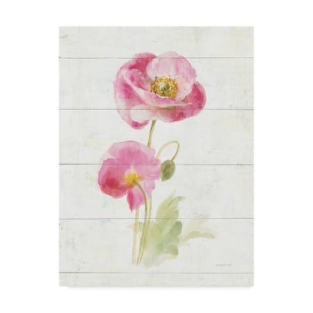 Trademark Fine Art Danhui Nai 'June Blooms IV' Canvas Art, 18x24 WAP04010-C1824GG